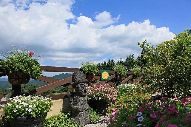 a0242438_17555015.jpg