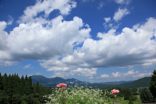 a0242438_1755553.jpg