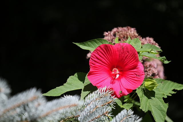 a0242438_175578.jpg