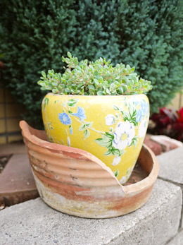 割れた植木鉢の再利用 その２ 花とテーブルblog