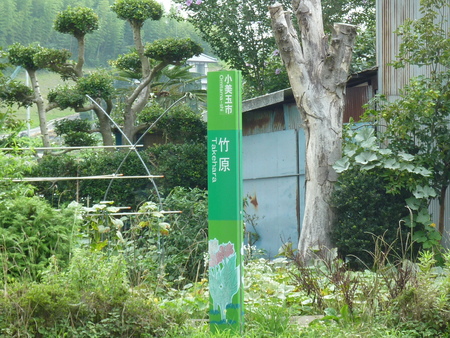 水戸道中歩き四日目：石岡の泉橋の先から竹原交差点まで_b0082147_235565.jpg