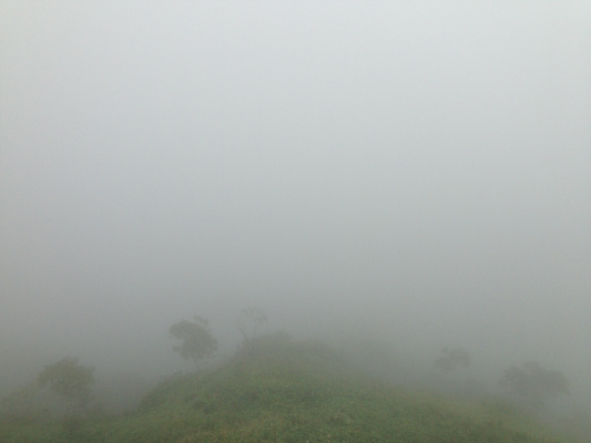 c0261447_2312390.jpg