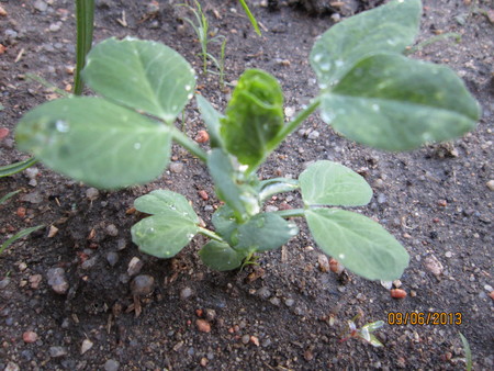 a0204348_2523241.jpg