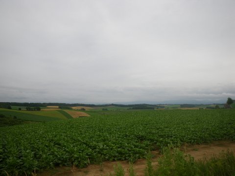 f0046250_13353251.jpg