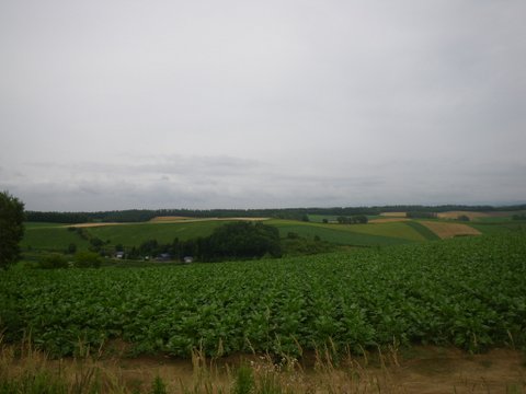 f0046250_13362610.jpg