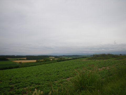 f0046250_13364424.jpg