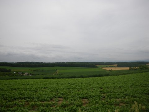 f0046250_13371798.jpg