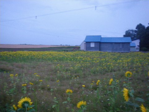 f0046250_16341453.jpg