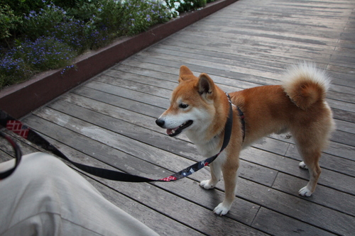 f0245650_824272.jpg