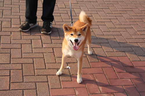 f0245650_8332035.jpg