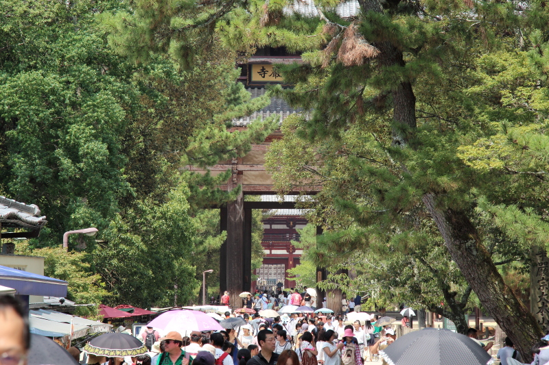 東大寺　南大門_c0272958_025642.jpg