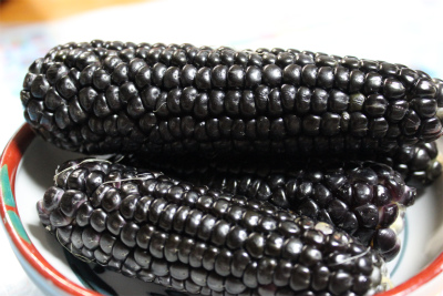黒いトウモロコシ 農んびりいこうぜ 黒いトウモロコシ 農んびりいこうぜ