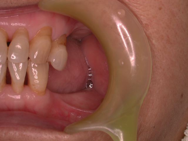 b0119466_015932.jpg
