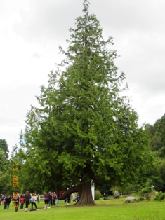 e0195766_0351632.jpg