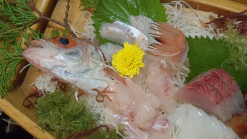 海じゃなく、、温泉へ♪_a0200771_215639.jpg