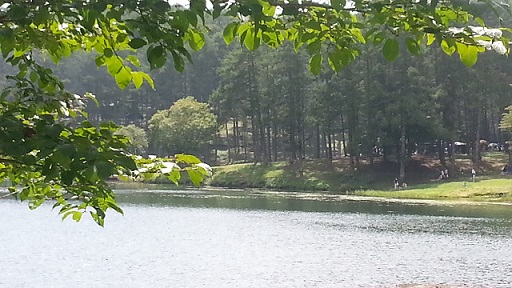 f0026274_2193472.jpg