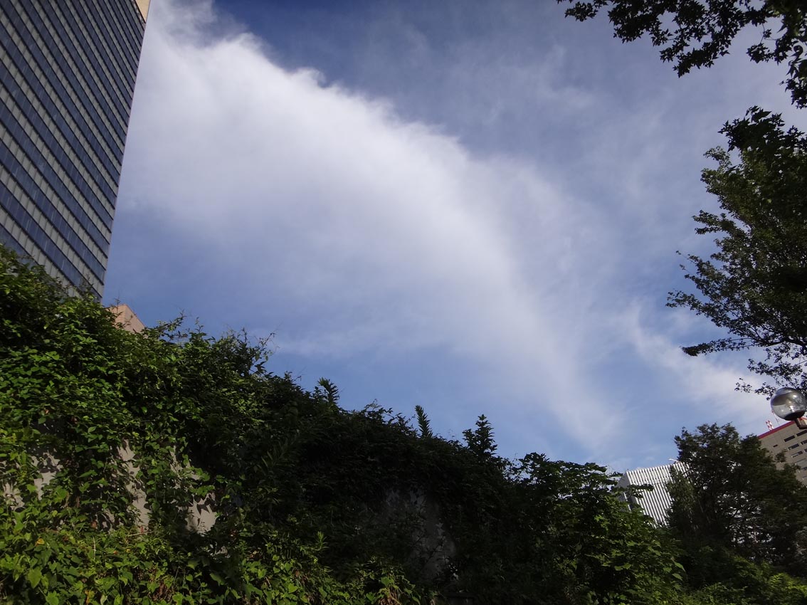 e0163776_1293467.jpg