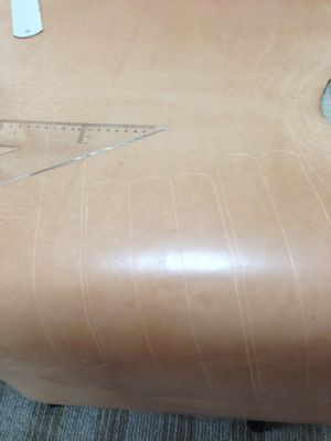a0154280_0242134.jpg