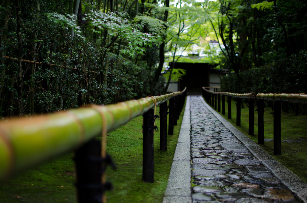 高桐院_d0282594_18234963.jpg