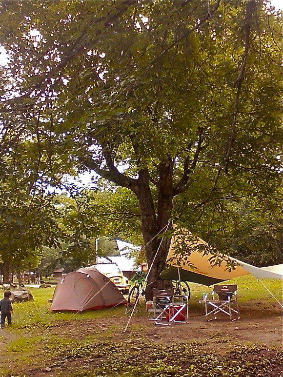 b0199097_18305597.jpg