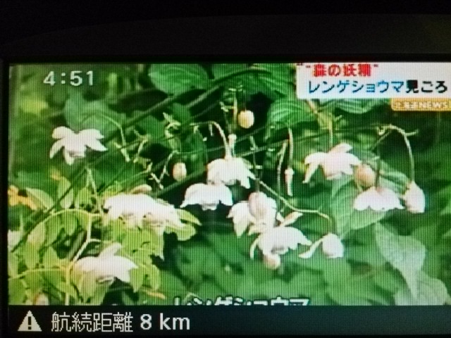 ★グランドハイエース・現行ヴォクシー待望のお納車となりました!!★(白石店)_c0161601_1952651.jpg