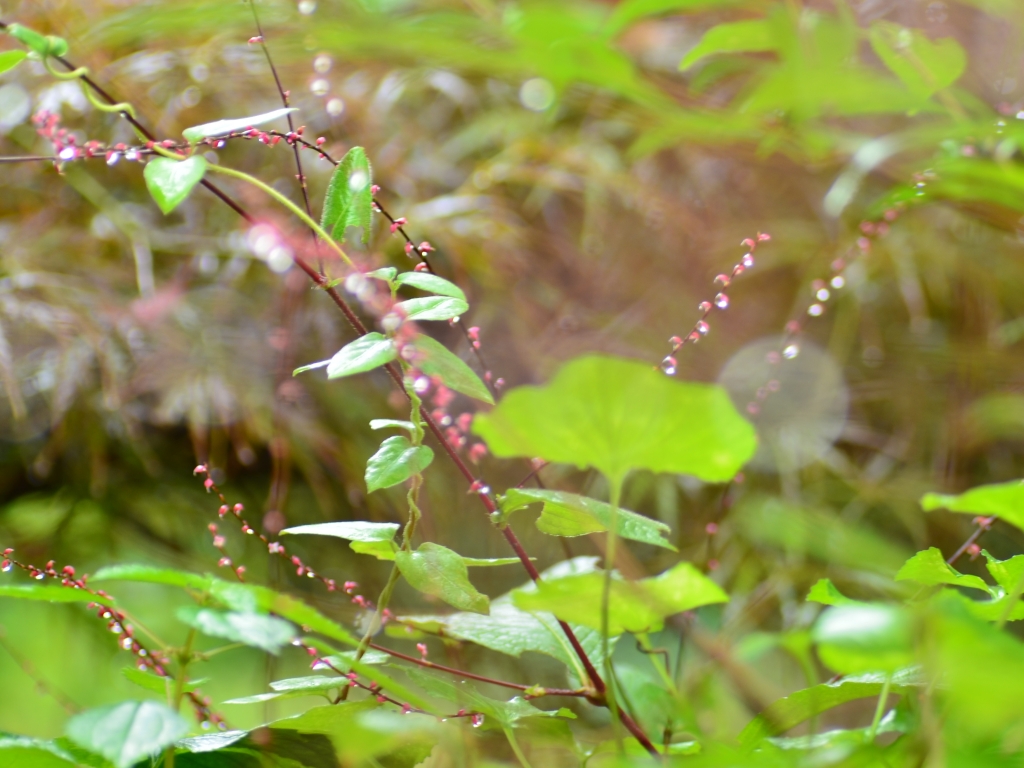 b0228502_074131.jpg