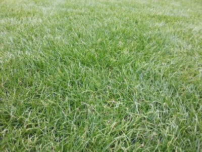 f0209604_13141029.jpg