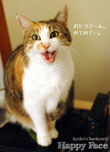 おとうさんに報告_b0253205_173066.jpg