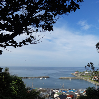 小坪漁港 その3_c0195909_16171445.jpg