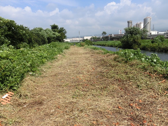 彼岸花が咲き始める直前の重要な作業 滝川の草刈り_f0141310_7413016.jpg