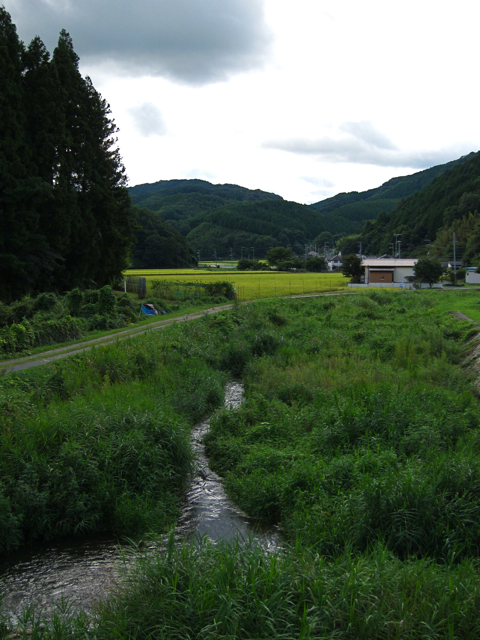 a0129311_0255341.jpg