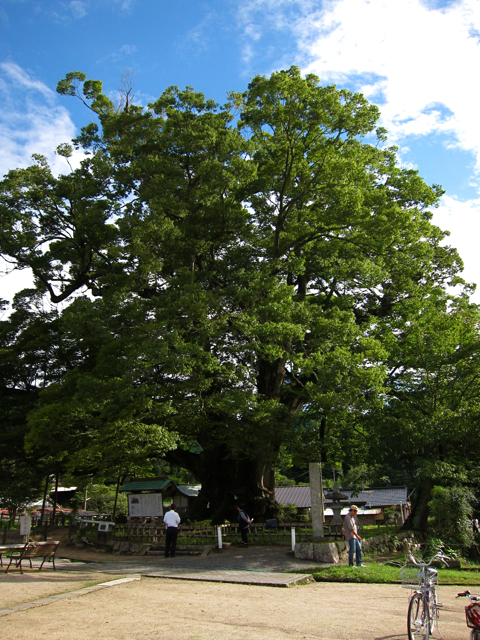a0129311_0263318.jpg