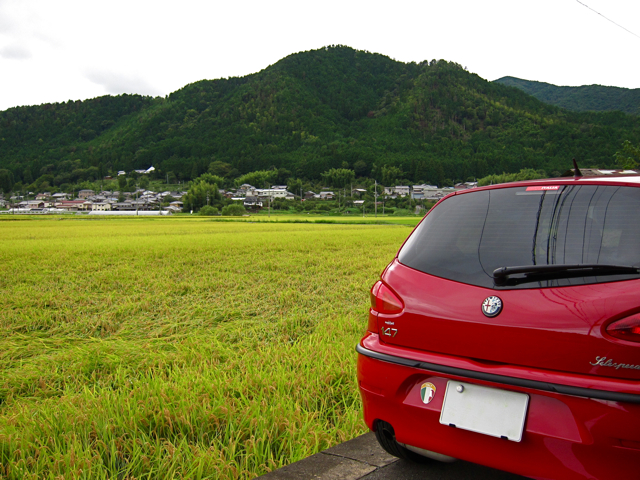 a0129311_0273061.jpg