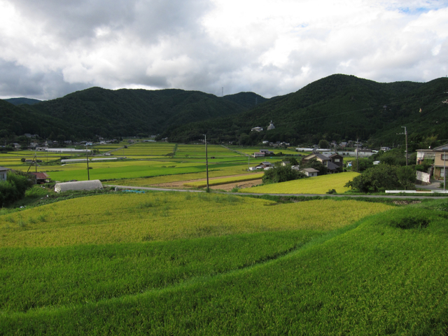a0129311_0282075.jpg