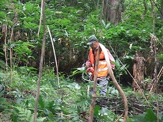 c0173813_22312871.jpg