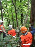 c0173813_22535760.jpg