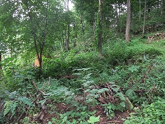 c0173813_22545117.jpg