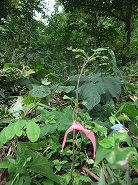 c0173813_2342751.jpg