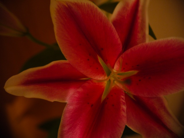 a0162215_23402863.jpg