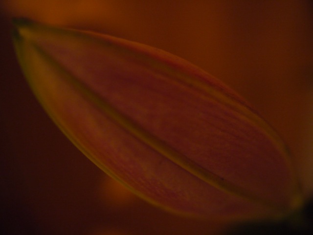 a0162215_23403063.jpg