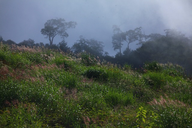 e0242721_10231346.jpg
