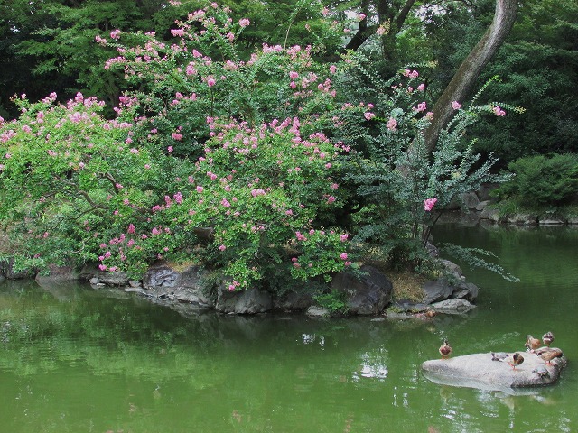 京の旅　九條邸跡散策　（その1）_e0321325_1711509.jpg