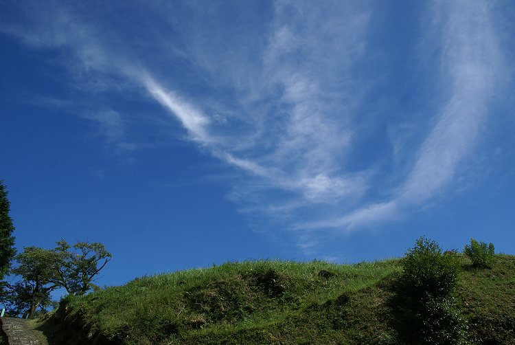 b0211627_1732642.jpg