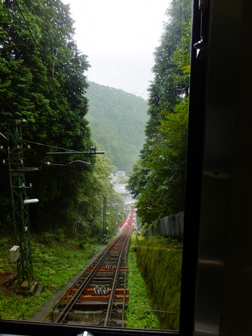 雨の蓮華升麻　〜８月25日(日)〜　その①_b0281732_2103815.jpg