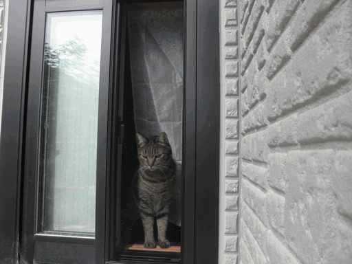 c0136736_1711531.gif