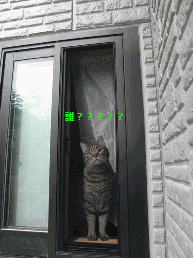 c0136736_17124376.gif