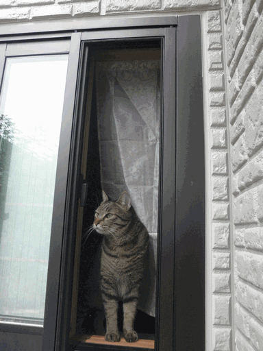 c0136736_1791741.gif