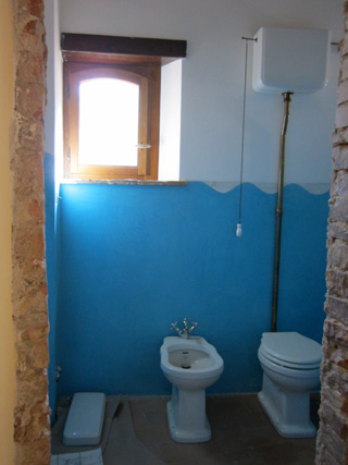 染まりゆく壁　整うトイレ、まだまだ続く改築作業_f0234936_2149554.jpg