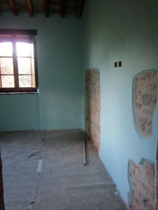 染まりゆく壁　整うトイレ、まだまだ続く改築作業_f0234936_2150535.jpg