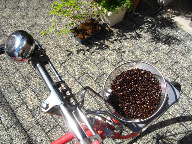 だって晴れなんだもの_e0230141_1258977.jpg